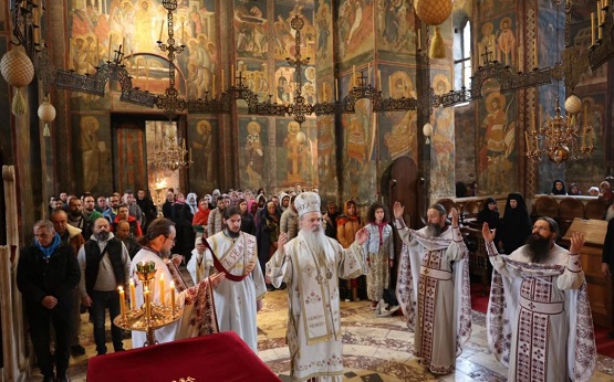 Владика Теодосије: Чувати Божју земљу – свето Косово и Метохију